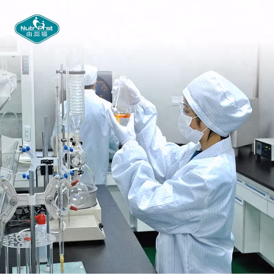 Estratto organico della pianta del fungo della criniera del leone Hericium Erinaceus Reishi Cordyceps Militaris Polvere di erbe del fungo